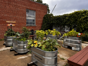 Creston Community Garden 2024 - 2