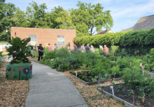 Creston Community Garden - 3