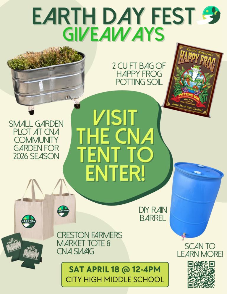 Raffle Giveaways Flyer